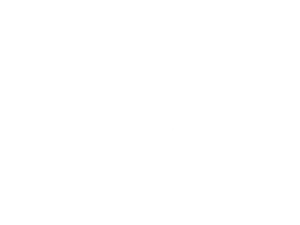 Partner 5