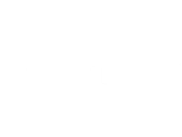 Partner 11